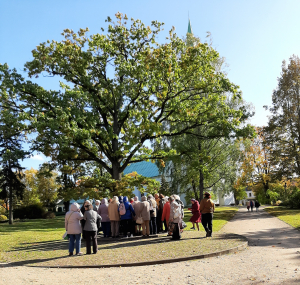 Starptautiskajā Senioru dienā Rīgas seniori tiekas Dobelē